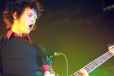 ConeMccaslin 2005 cone_sum41 (97).jpg